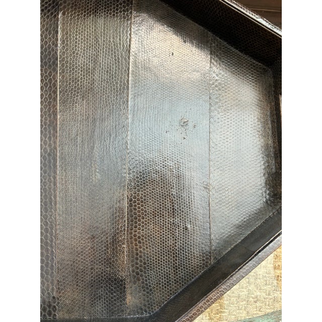 Authentic Snakeskin Tray For Sale - Image 12 of 12