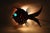 Mid-Century Red Fish with Aquamarine Eye Wall Light, 1950s For Sale - Image 9 of 14