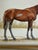 Late 20th Century Late 20th C. Signed "Thoroughbred" Horse Hand-Painted Serigraph by Carson For Sale - Image 5 of 11