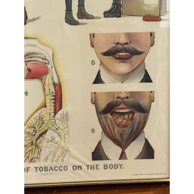 Illustration Late 19th Century W. & a.k. Johnston Effects of Tobacco on the Body Educational Chart For Sale - Image 3 of 6