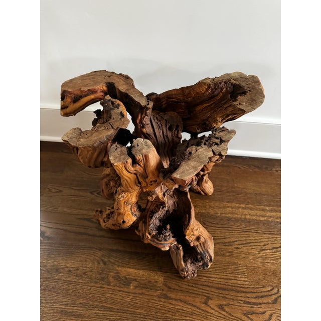 Vintage Burl Root Wood Coffee or Side Table With Glass Top For Sale - Image 4 of 10