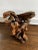Vintage Burl Root Wood Coffee or Side Table With Glass Top For Sale - Image 4 of 10