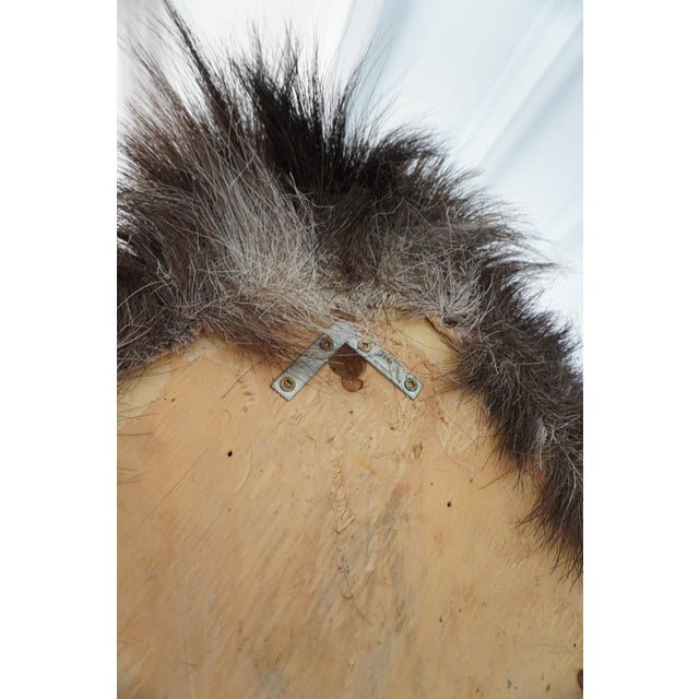 Moose Head Bust Mount For Sale - Image 17 of 18