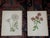 Realism Antique 19th Century Anne Pratt Botanical Chromolithographs - Set of 12` For Sale - Image 3 of 8