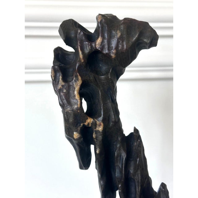 Chinese Scholar Stone Tall Slender Lingbi Rock on Display Stand For Sale - Image 14 of 17
