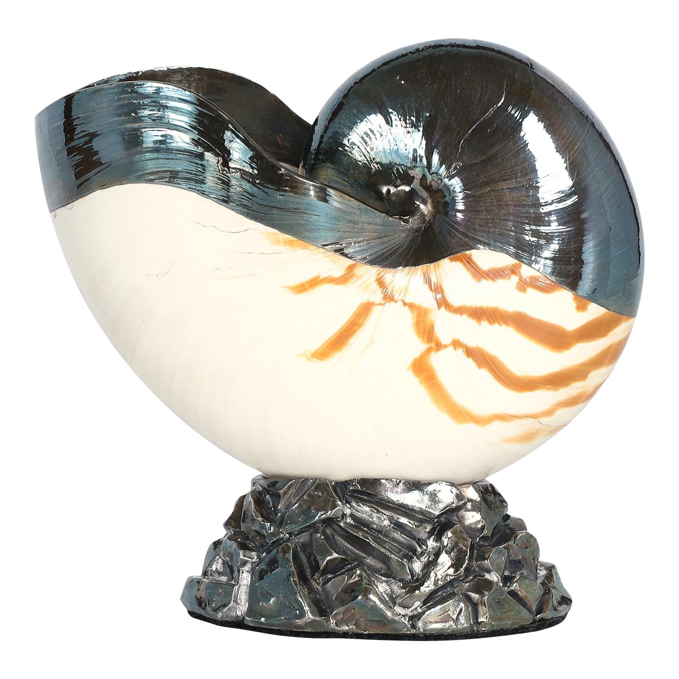 Vintage Italian Silvered Nautilus Shell by Ruzzetti & Gow | Chairish