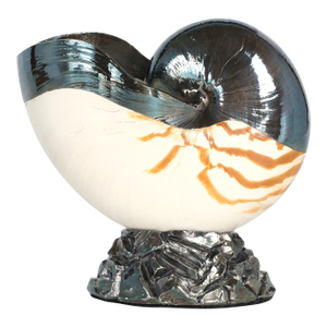 Vintage Italian Silvered Nautilus Shell by Ruzzetti & Gow