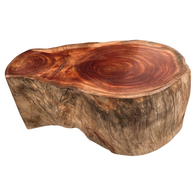 2010s Andrianna Shamaris Mahogany Wood Tray Style Coffee Table For Sale - Image 5 of 18