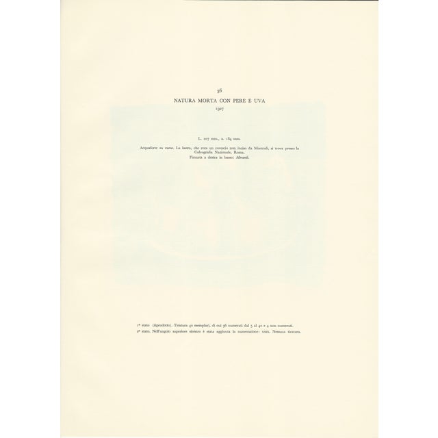 Giorgio Morandi, Still Life with Pears and Grapes, 1927-1957, Lithograph For Sale - Image 6 of 7