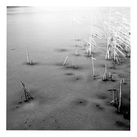 Paul Cooklin, Study I, Edition of 50 For Sale