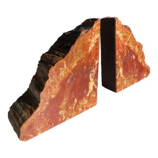 Vintage MCM Pair of Petrified Wood Bookends Arizona Rainbow For Sale