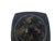 Japanese Lacquerware Tray, 1950s For Sale - Image 13 of 18