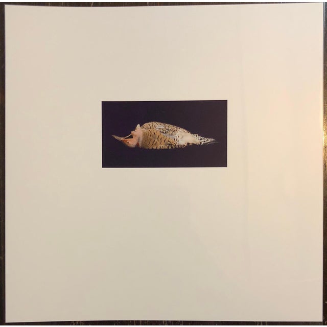 This is a proof print. signed and marked bat (for bon a tirer or good to print) This is a single print from 1998 Birds....