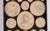 Animal Skin Antique 18th Century Grand Tour Plaster Intaglios in Leather & Marble from Pietro Bracci For Sale - Image 7 of 10