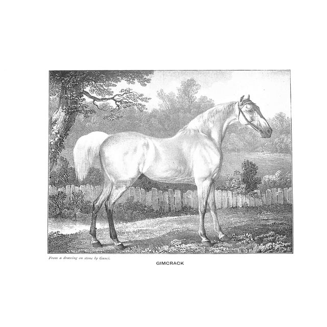 Paper "Small Horses in Warfare" 1900 Gilbey, Sir Walter Bart. For Sale - Image 7 of 7