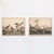 This set of adorable vintage duck prints dates from early 19th Century America. It features a variety of bird specimens in...