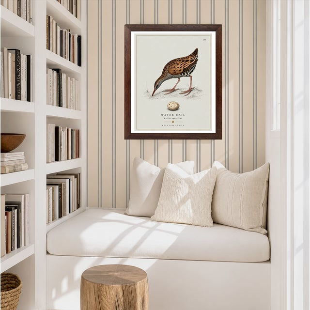 William Lewin 1789 Waterbirds Fine Art Gallery Board Print - The Water Rail For Sale - Image 14 of 14