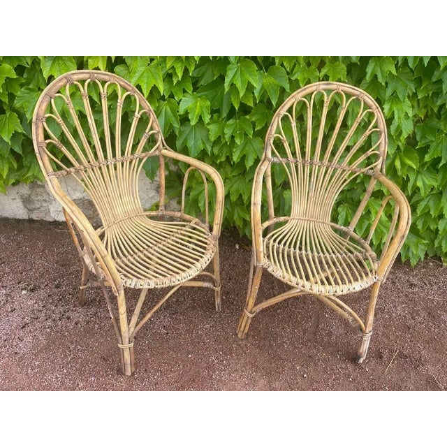 Pair of rattan armchairs from the 1950s from the Netherlands