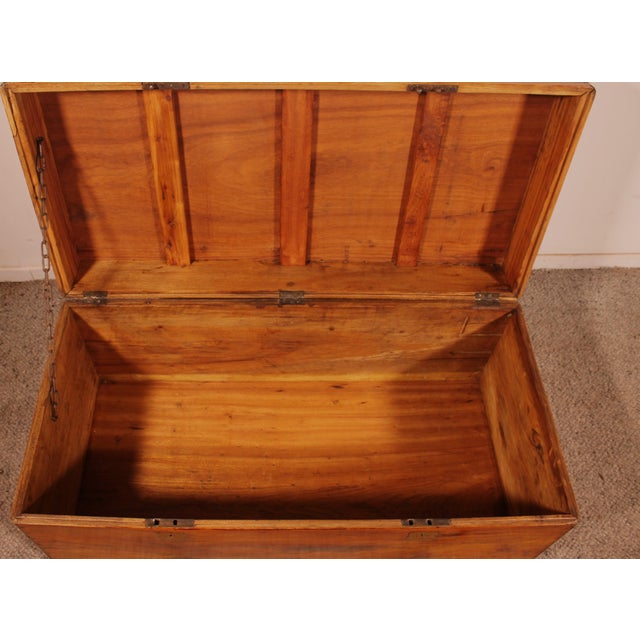 19th Century Marine Chest in Camphor Wood For Sale - Image 12 of 13