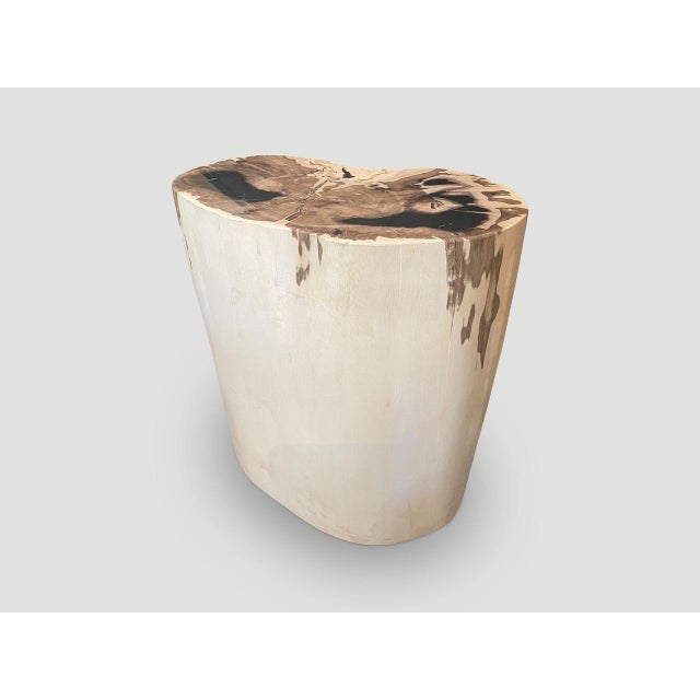 Andrianna Shamaris High Quality Exquisite Petrified Wood Side Table For Sale - Image 14 of 18