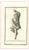 Vincenzo Campana, Ancient Roman Statues, Original Etching, 18th Century For Sale