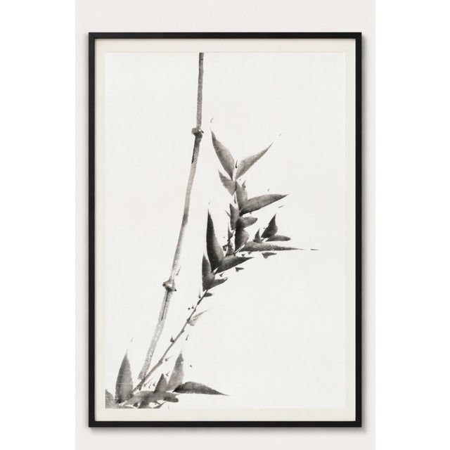 Hokusai Bamboo Study, Vintage Japanese Art Print, 24" X 36" For Sale In Buffalo - Image 6 of 11