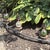 Set of Three Cast Iron and Crackle Glass Hose Guards For Sale - Image 10 of 10
