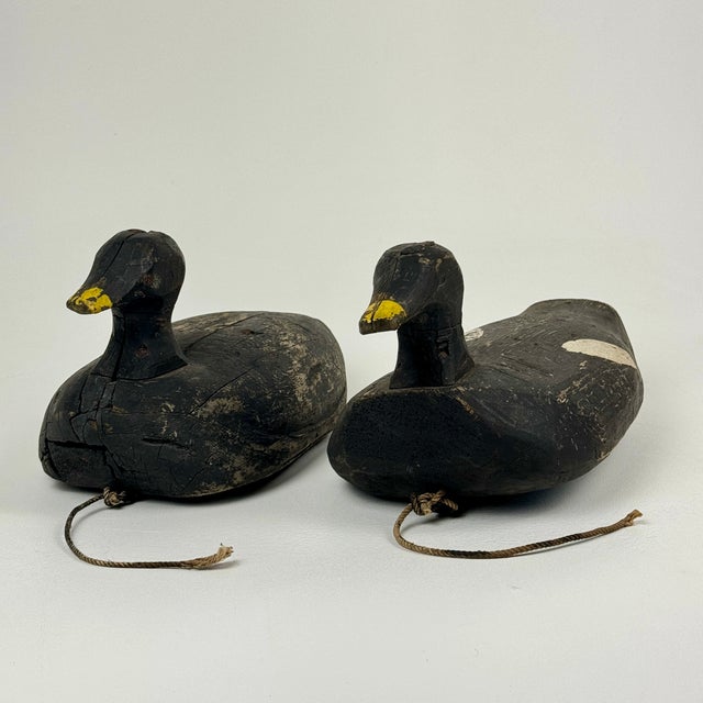 A rare pair of C.E. Harding duck decoys, with yellow beaks. One is a little larger than the other and carved with Initials...