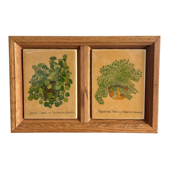 Framed Plant Tiles, Creeping Charlie and Maidenhair Fern For Sale