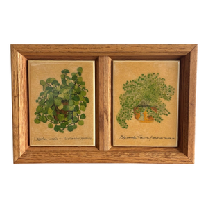 Framed Plant Tiles, Creeping Charlie and Maidenhair Fern