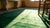 Outstanding Green Open Field Wiht Gray Border in a Floral Pattern Antique Chinese Art Deco Rug For Sale - Image 14 of 14