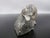 Rustic Genuine Fossil Shell Ammonite South Dakota Fox Hills Formation Scaphite For Sale - Image 3 of 6