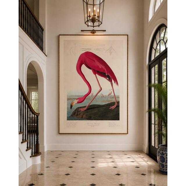 Pink Flamingo (Audubon, Birds of America), Vintage Art Print Reproduction, 32" X 48" For Sale - Image 10 of 12