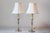 This elegant pair of 19th-century French lamps showcases timeless design and impeccable craftsmanship. Made from silvered...