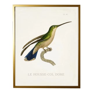 Framed Hummingbird Reproduction Print Plate 18 For Sale
