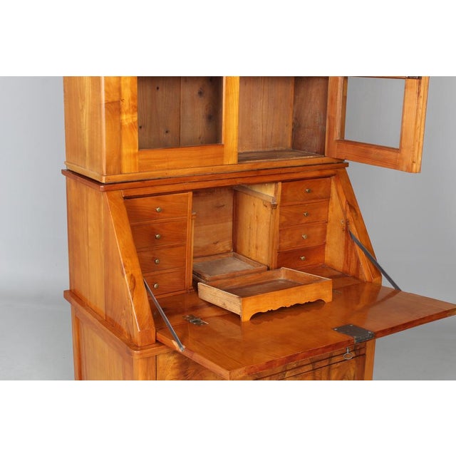 Tan Biedermeier Secretaire with Brass Handles, 1845 For Sale - Image 8 of 17