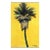 Yellow Dream - Palm Tree Landscape Original Artwork by Kathleen Keifer For Sale
