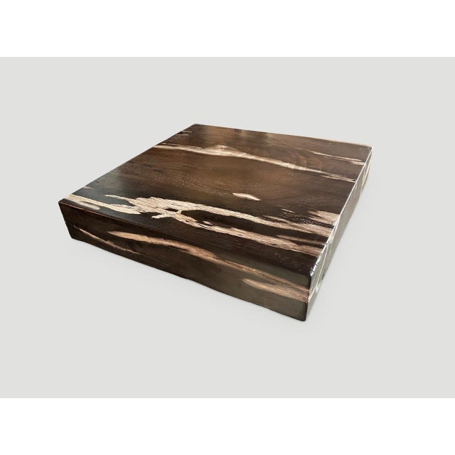 Andrianna Shamaris Petrified Wood Slab For Sale In New York - Image 6 of 6