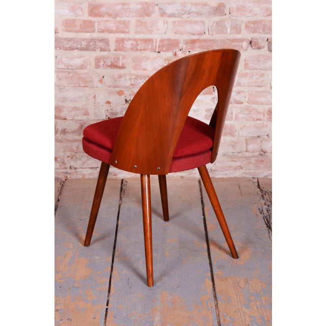 Mid-Century Walnut Chairs from Antonín Šuman, Czech, 1950s, Set of 4 For Sale - Image 14 of 18