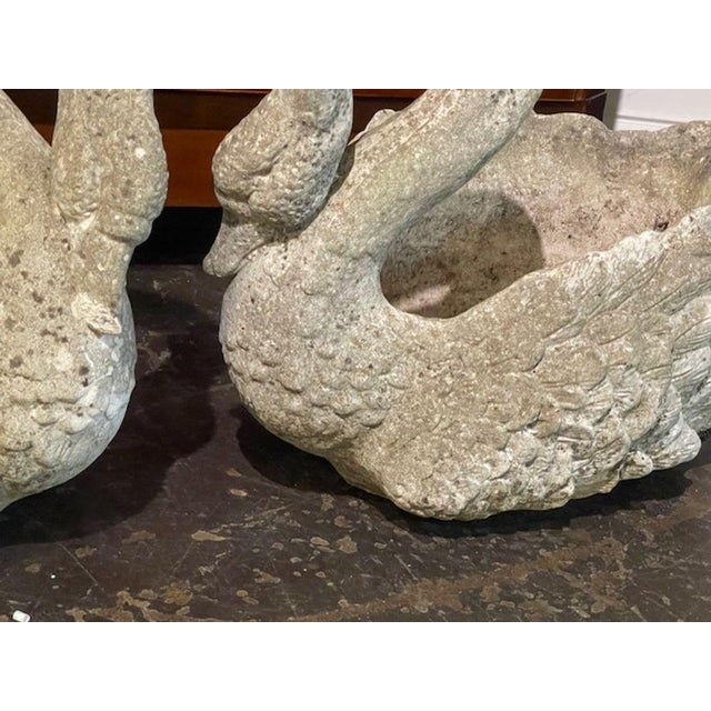 Pair of French Concrete Swan Planters For Sale In Dallas - Image 6 of 8