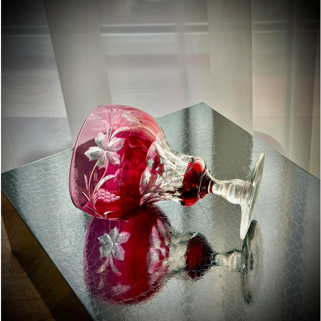 Vintage Vignes Ruby Crystal Wine Goblets from Val Saint Lambert, 1950, Set of 10 For Sale - Image 4 of 18
