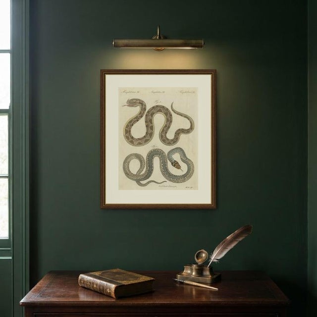 Bertuch, Two Snakes with Bold Head Markings, 1805, Print For Sale - Image 10 of 12
