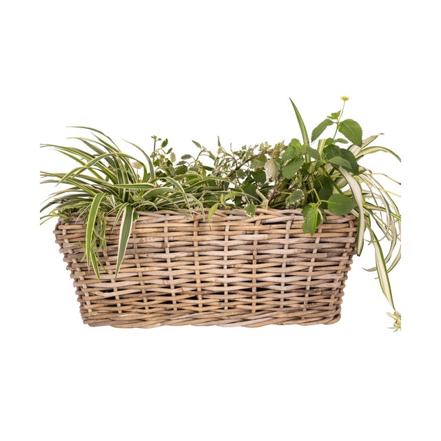 Shape up your greenery with this rectangular rattan planter  ideal for herbs, succulents, or cascading florals. Its...