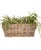 Shape up your greenery with this rectangular rattan planter  ideal for herbs, succulents, or cascading florals. Its...