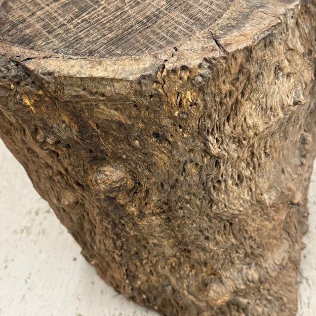 Skinny Textured Free-Form Tree Trunk Side Pedestal Table For Sale - Image 9 of 9