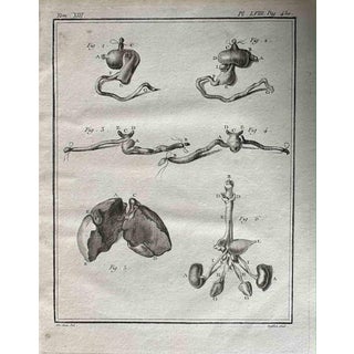 Antoine Defehrt, The Organ, Etching, 1771 For Sale