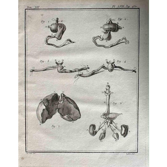 Antoine Defehrt, The Organ, Etching, 1771 For Sale