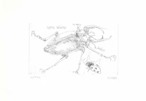 Sergio Barletta, Insect, Etching, 1974