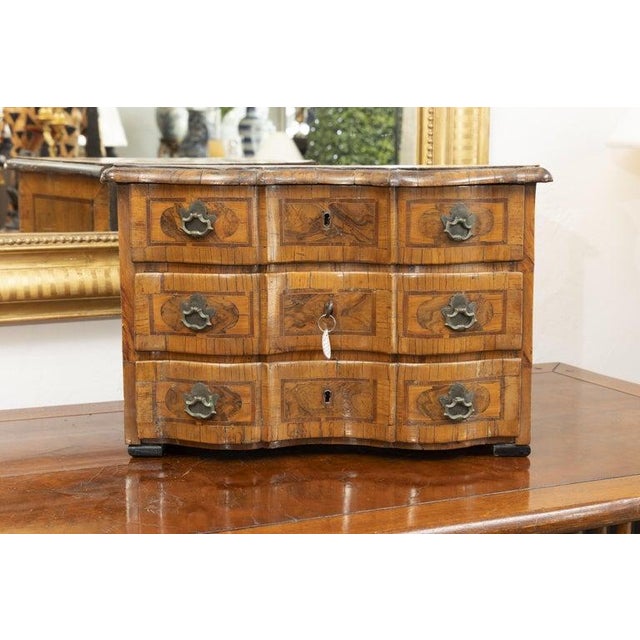 Baroque Italian Baroque Walnut Specimen Chest For Sale - Image 3 of 7
