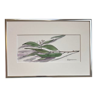 Framed 1990s Original Watercolor Small Painting “Eucalyptus Sprig” For Sale